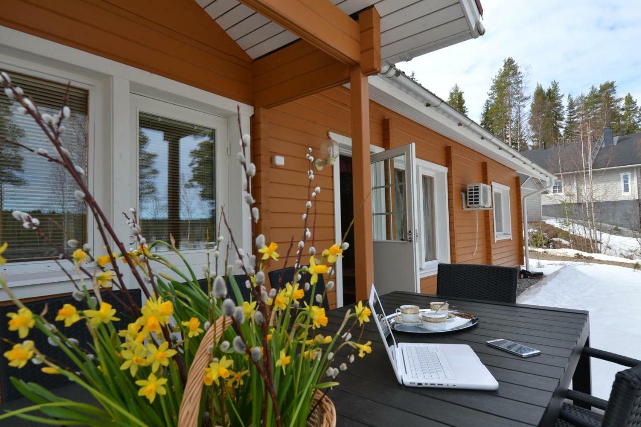 Valentin Cottage Энонкоски Экстерьер фото